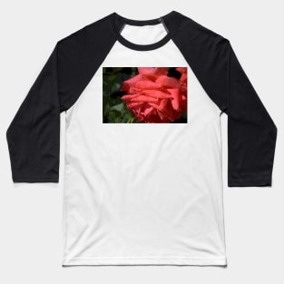 Raindrop Rose Poster Style Baseball T-Shirt